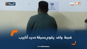 ضبط وافد