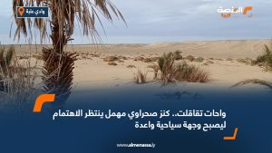 واحات تقاقلت.. كنز صحراوي مهمل ينتظر الاهتمام ليصبح وجهة سياحية واعدة