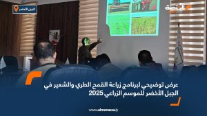 عرض توضيحي لبرنامج زراعة القمح الطري والشعير في الجبل الأخضر للموسم الزراعي 2025