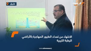 الانتهاء من تعداد الطيور المهاجرة بالأراضي الرطبة الليبية