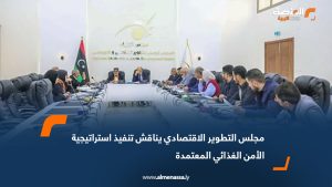 مجلس التطوير الاقتصادي يناقش تنفيذ استراتيجية الأمن الغذائي المعتمدة
