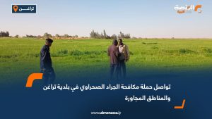 تواصل حملة مكافحة الجراد الصحراوي في بلدية تراغن والمناطق المجاورة