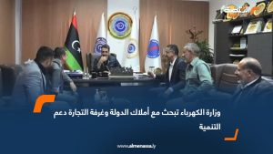 وزارة الكهرباء تبحث مع أملاك الدولة وغرفة التجارة دعم التنمية