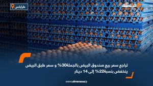 تراجع سعر بيع صندوق البيض بالجملة30% وسعر طبق البيض ينخفض بنسبة22% إلى 14 دينار