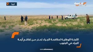 اللجنة الوطنية لمكافحة الجراد تحذر من تفاقم أزمة الجراد في الجنوب
