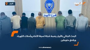 البحث الجنائي بالأبيار يضبط شبكة لسرقة الأغنام وأسلاك الكهرباء ويلاحق متورطين