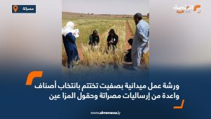 ورشة عمل ميدانية بصفيت تختتم بانتخاب أصناف واعدة من إرساليات مصراتة وحقول المزا عين