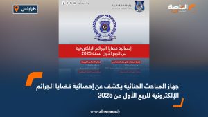 جهاز المباحث الجنائية يكشف عن إحصائية قضايا الجرائم الإلكترونية للربع الأول من 2025