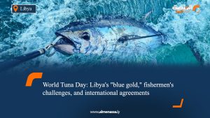World Tuna Day: Libya's "blue gold," fishermen's challenges, and international agreements