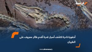 أحفورة نادرة تكشف أسرار قدرة أقدم طائر معروف على الطيران