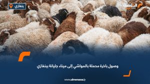 وصول باخرة محملة بالمواشي إلى ميناء جليانة ببنغازي
