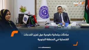 مباحثات برلمانية حكومية حول تعزيز الخدمات القنصلية في المنطقة الجنوبية