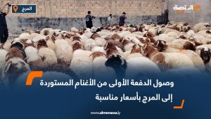 وصول الدفعة الأولى من الأغنام المستوردة إلى المرج بأسعار مناسبة