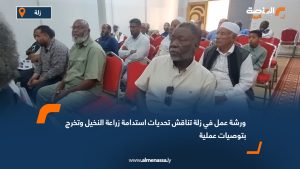 ورشة عمل في زلة تناقش تحديات استدامة زراعة النخيل وتخرج بتوصيات عملية