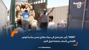 "9350" رأس غنم تصل إلى ميناء بنغازي ضمن مبادرة لتوفير الأضاحي بأسعار مخفضة قبيل العيد
