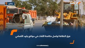 فرق النظافة تواصل مكافحة الآفات في مواقع جلود الأضاحي
