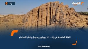 الغابة المتحجرة في زلة.. كنز جيولوجي مهمل ينتظر الاهتمام
