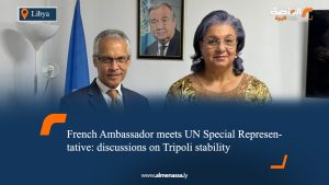 French Ambassador meets UN Special Representative: discussions on Tripoli stability 