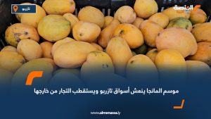 موسم المانجا ينعش أسواق تازربو ويستقطب التجار من خارجها
