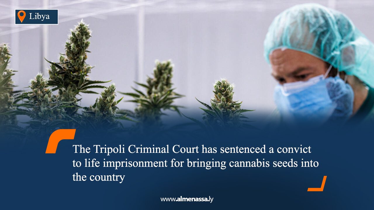 The Tripoli Criminal Court has sentenced a convict to life imprisonment for bringing cannabis seeds into the country