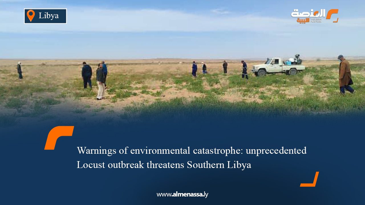 Warnings of environmental catastrophe: unprecedented Locust outbreak threatens Southern Libya