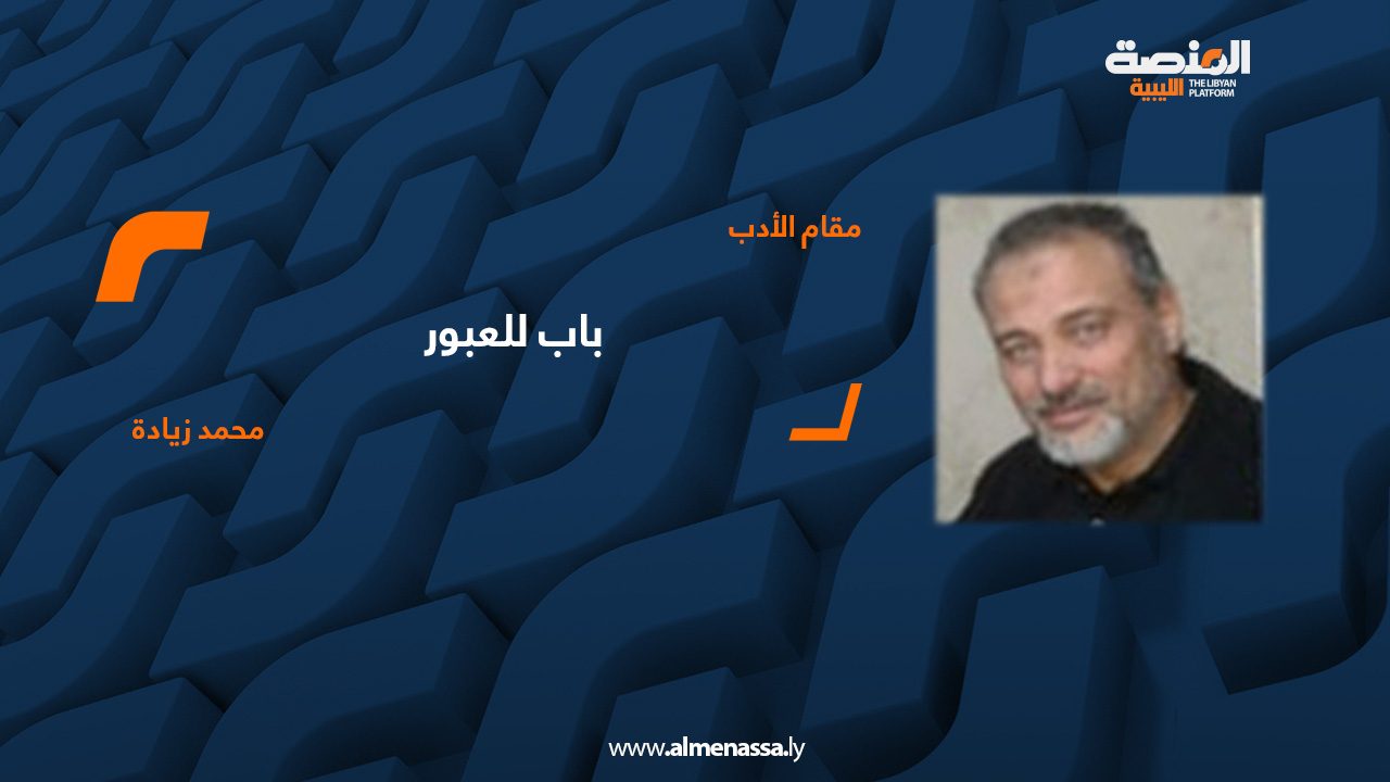 محمد زيادة