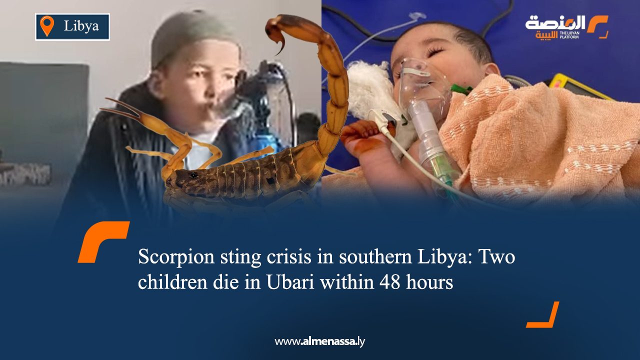 02 Scorpion sting crisis in southern Libya: Two children die in Ubari within 48 hours