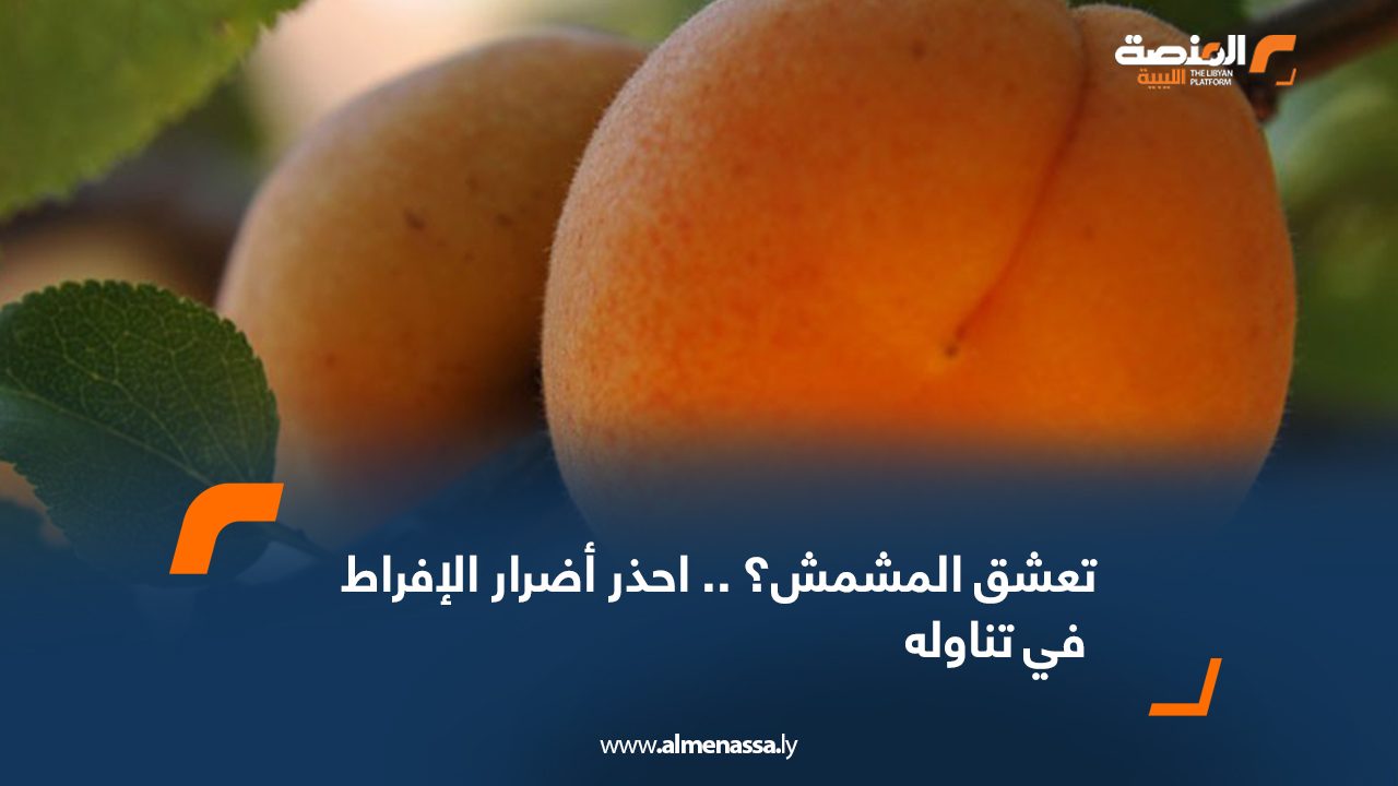 8705120120 8705120120