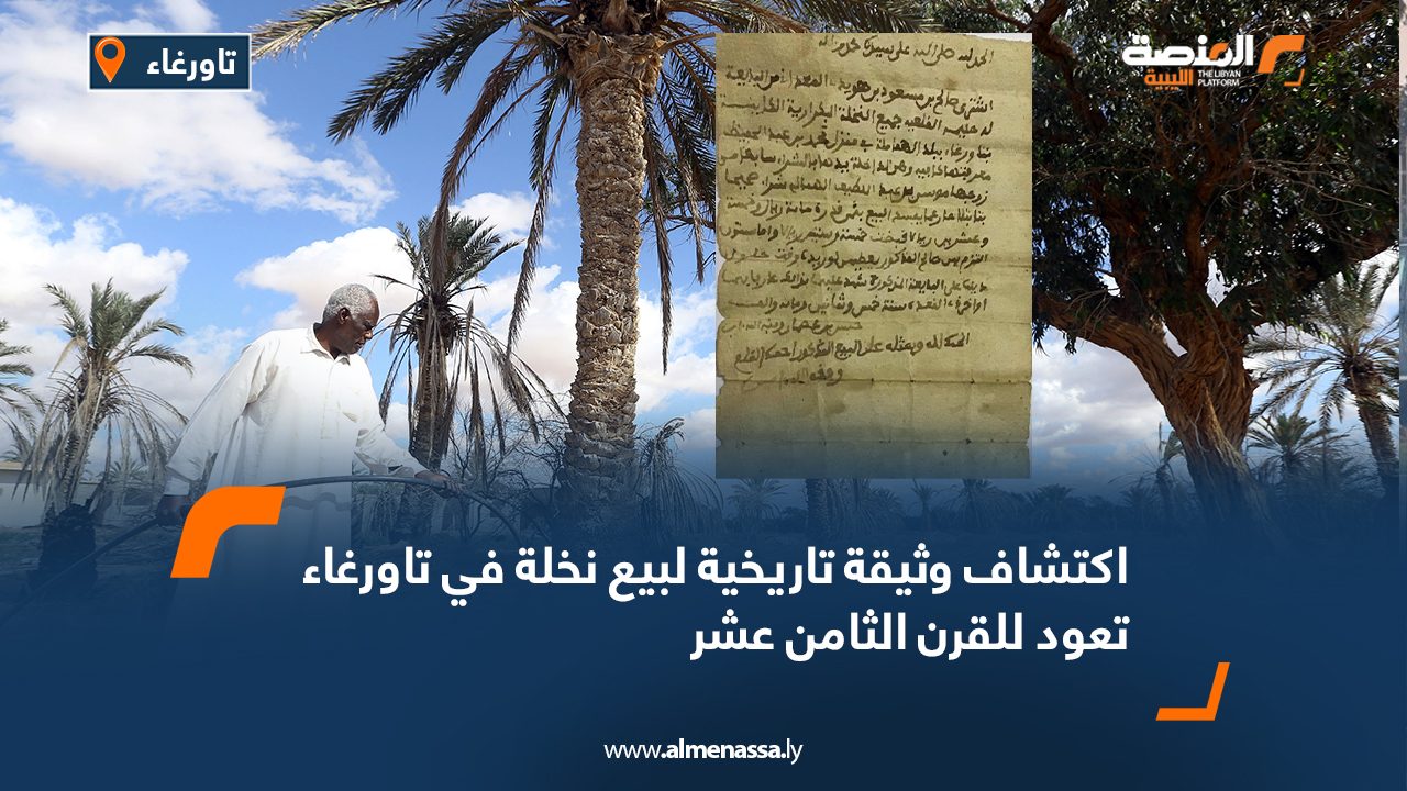 Wide-Web-1011 Wide-Web-1011