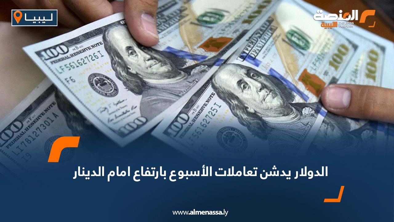 Wide-Web-1044 Wide-Web-1044