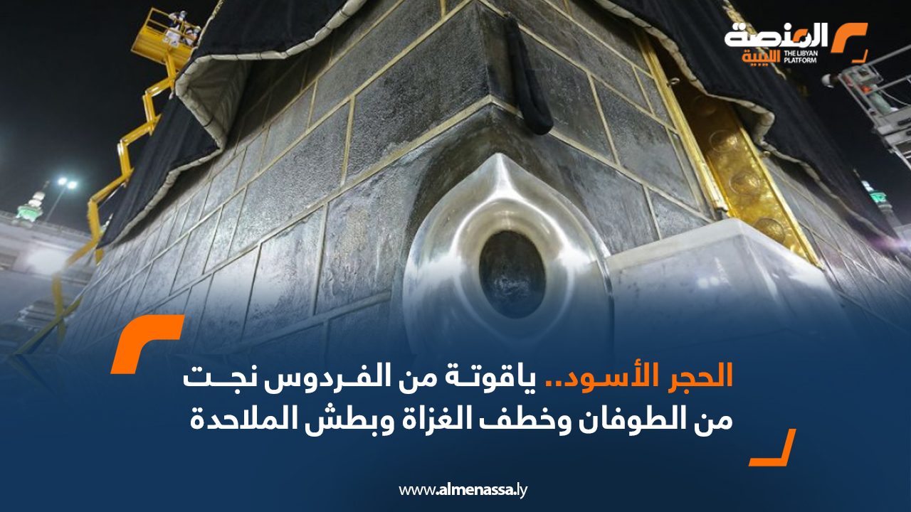 Wide-Web-1053 Wide-Web-1053