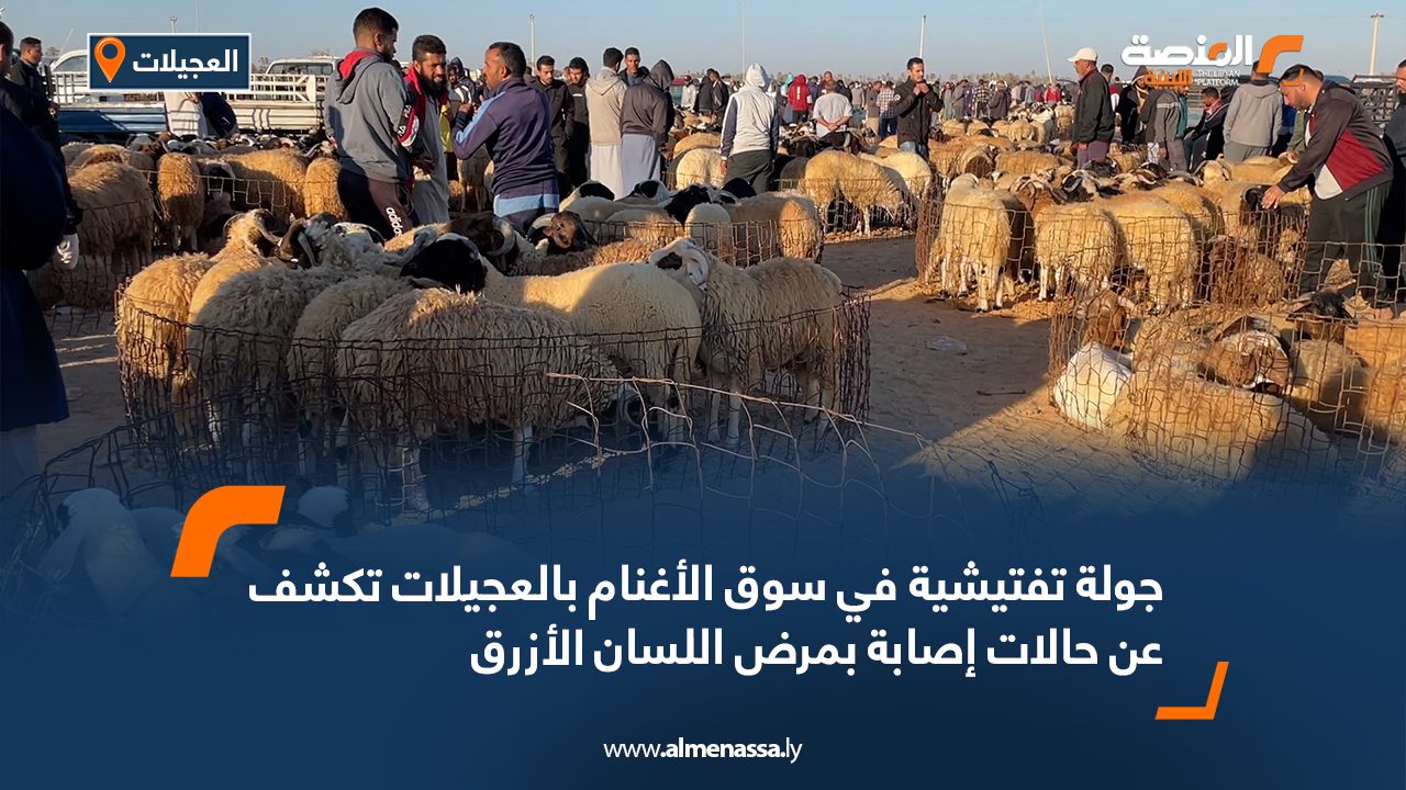 Wide Web جولة تفتيشية في سوق الأغنام بالعجيلات تكشف عن حالات إصابة بمرض اللسان الأزرق