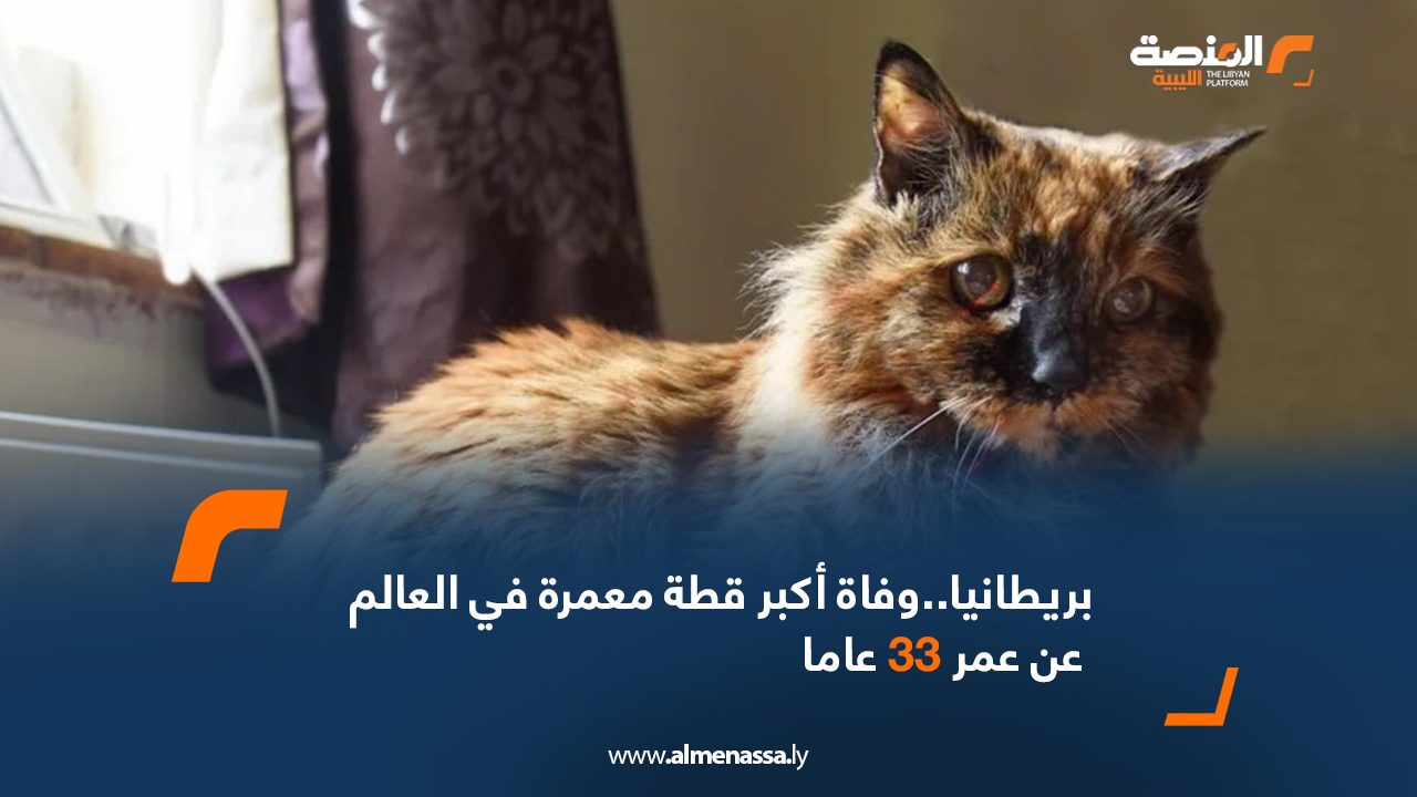 بريطانيا..وفاة أكبر قطة معمرة في العالم عن عمر 33 عاما