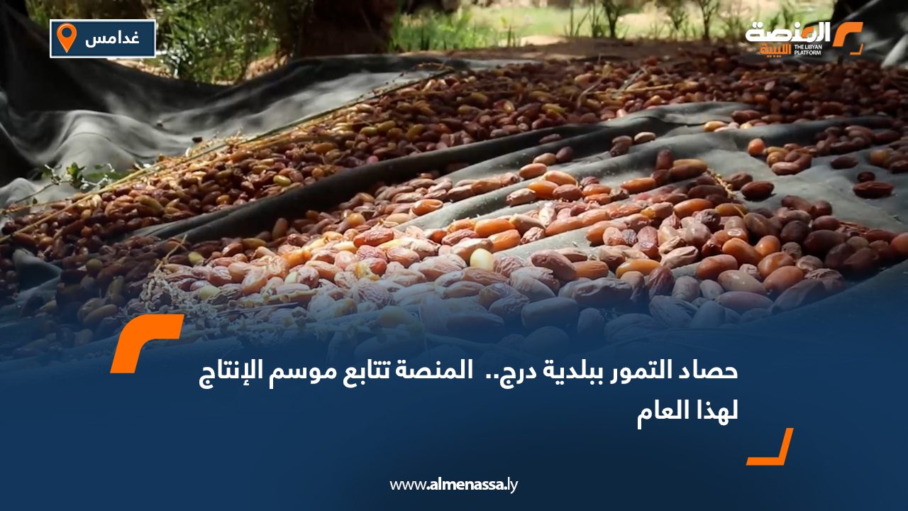 حصاد التمور ببلدية درج..  المنصة تتابع موسم الإنتاج لهذا العام
