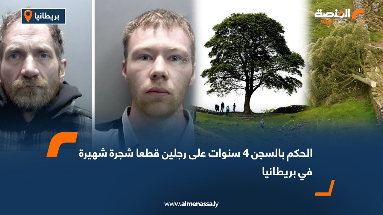 Wide Web الحكم بالسجن 4 سنوات لرجلين قطعا شجرة شهيرة في بريطانيا