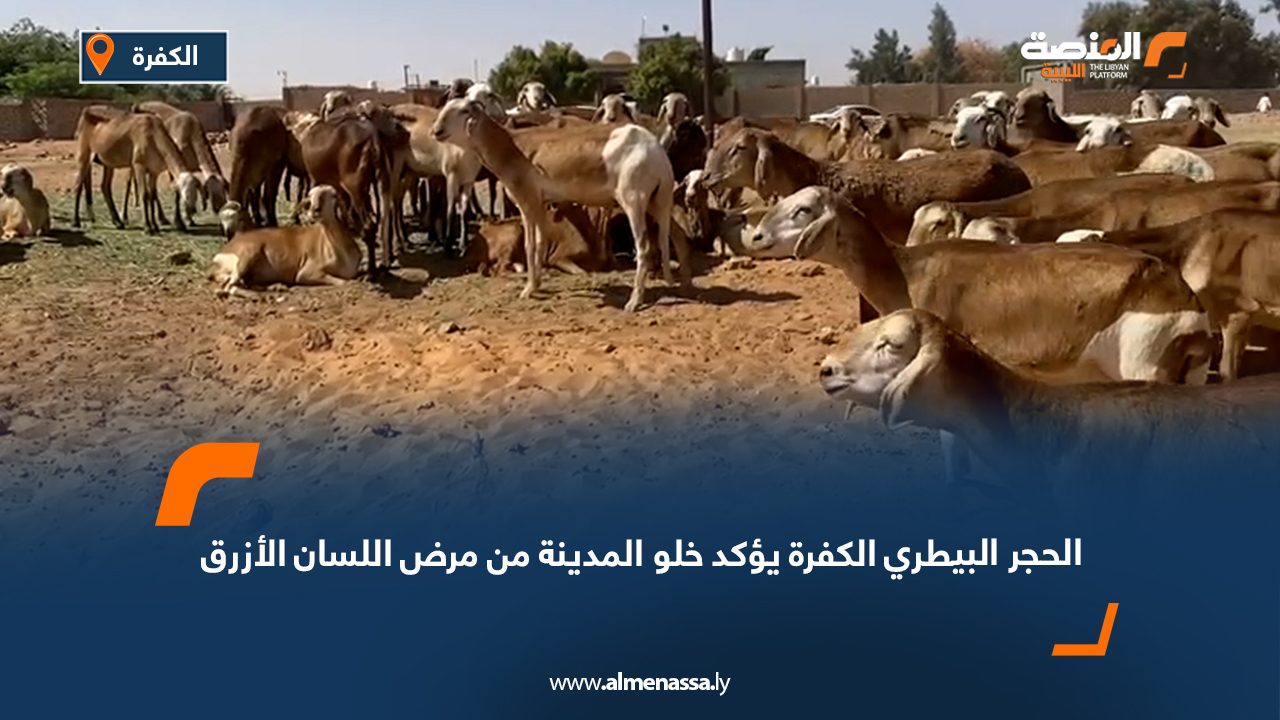 الحجر البيطري الكفرة يؤكد خلو المدينة من مرض اللسان الأزرق