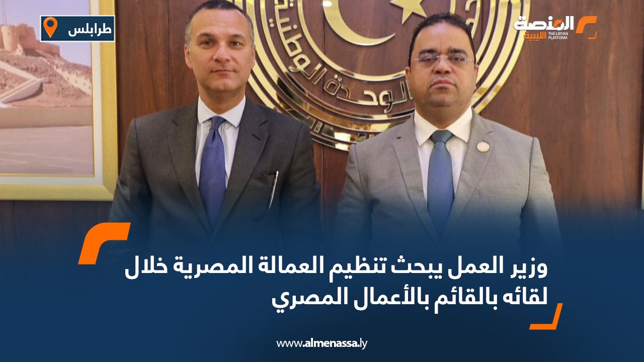 وزير العمل يبحث تنظيم العمالة المصرية خلال لقائه بالقائم بالأعمال المصري