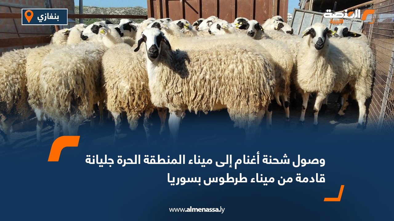 وصول شحنة أغنام إلى ميناء المنطقة الحرة جليانة قادمة من ميناء طرطوس بسوريا