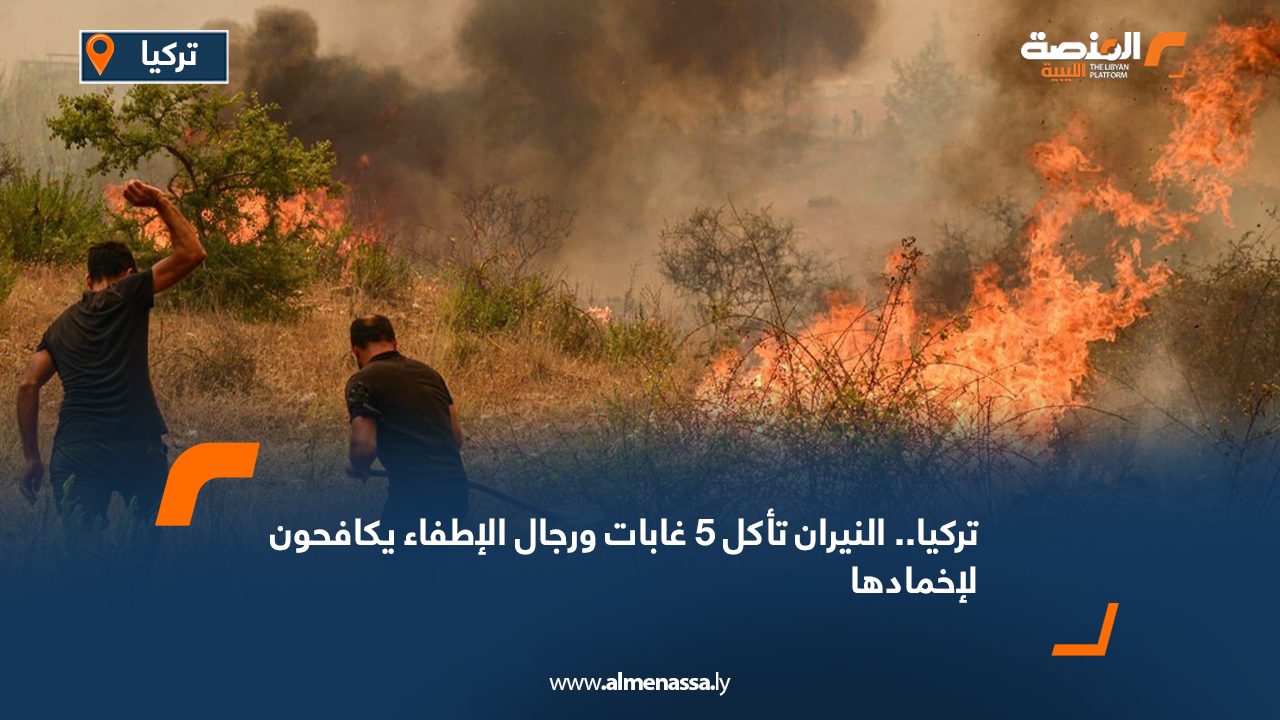 تركيا.. النيران تأكل 5 غابات ورجال الإطفاء يكافحون لإخمادها