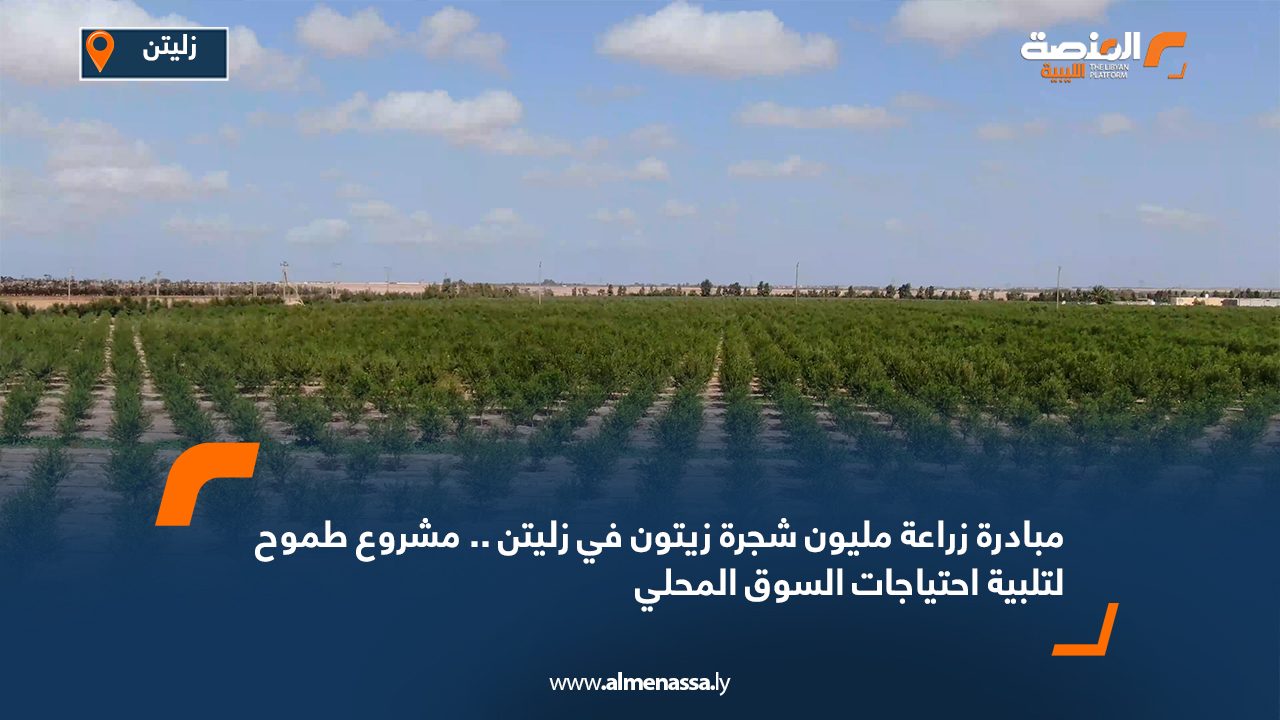 مبادرة زراعة مليون شجرة زيتون في زليتن .. مشروع طموح لتلبية احتياجات السوق المحلي مبادرة زراعة مليون شجرة زيتون في زليتن .. مشروع طموح لتلبية احتياجات السوق المحلي