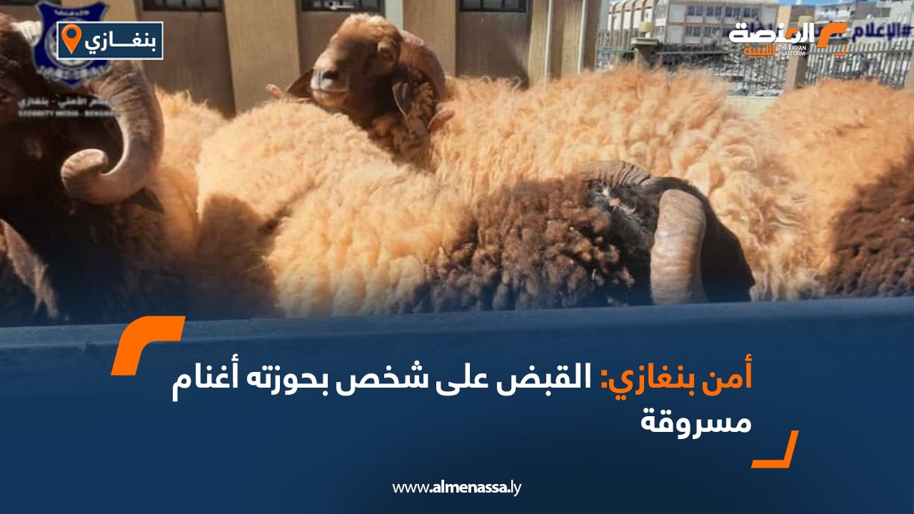 أمن بنغازي: القبض على شخص بحوزته أغنام مسروقة