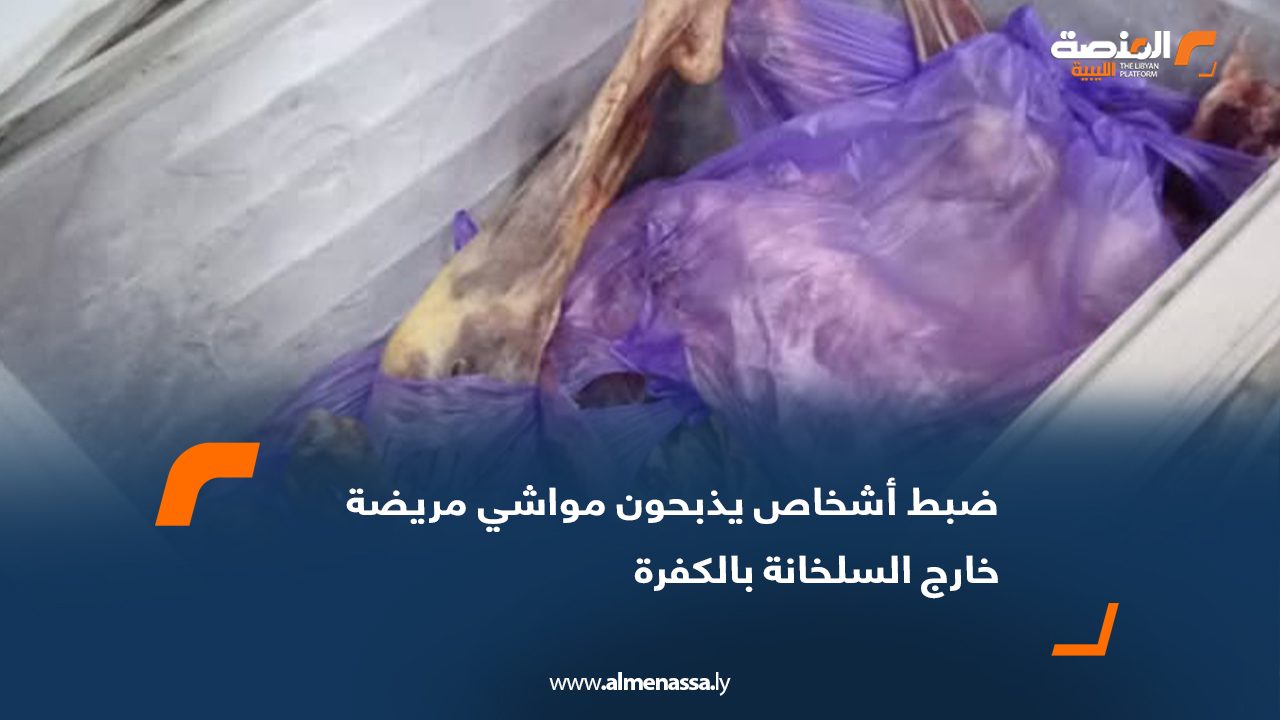ضبط أشخاص يذبحون مواشي مريضة خارج السلخانة بالكفرة