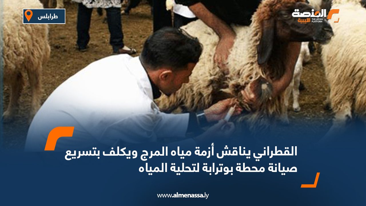 المركز الوطني للصحة الحيوانية يحذر من انتشار مرض اللسان الأزرق بين الأغنام