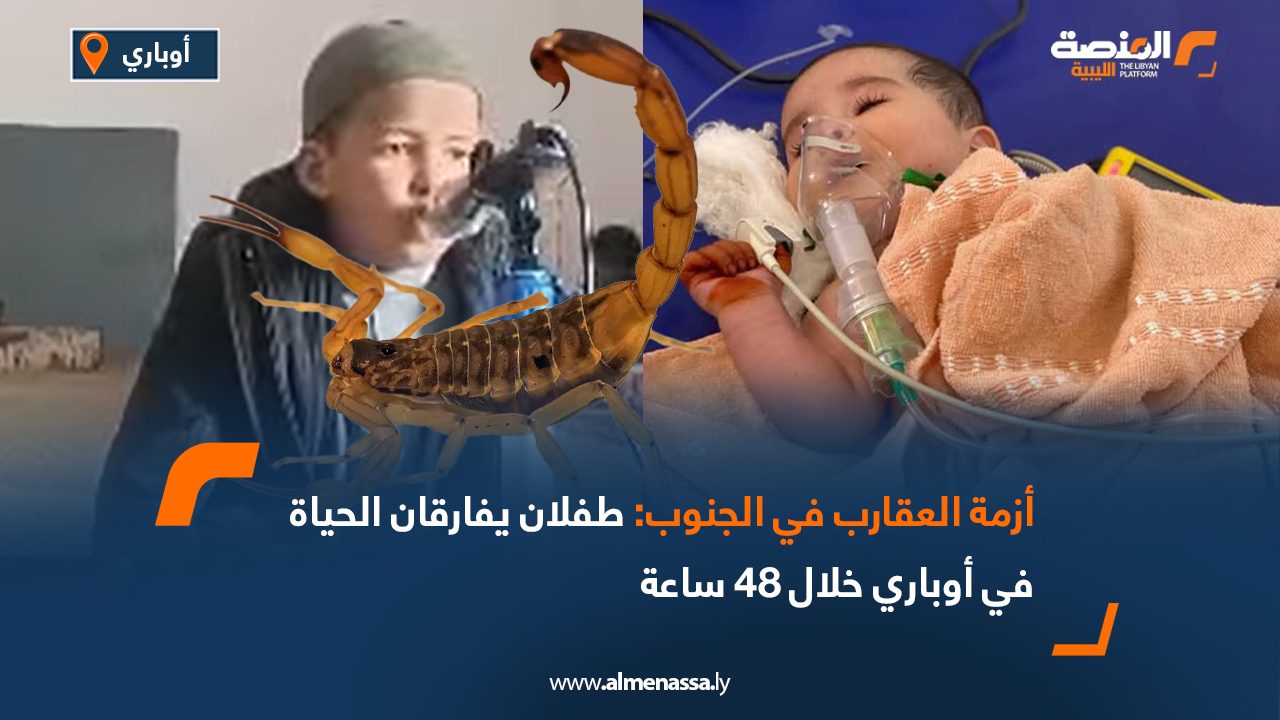 Wide Web أزمة العقارب في الجنوب طفلان يفارقان الحياة في أوباري خلال 48 ساعة