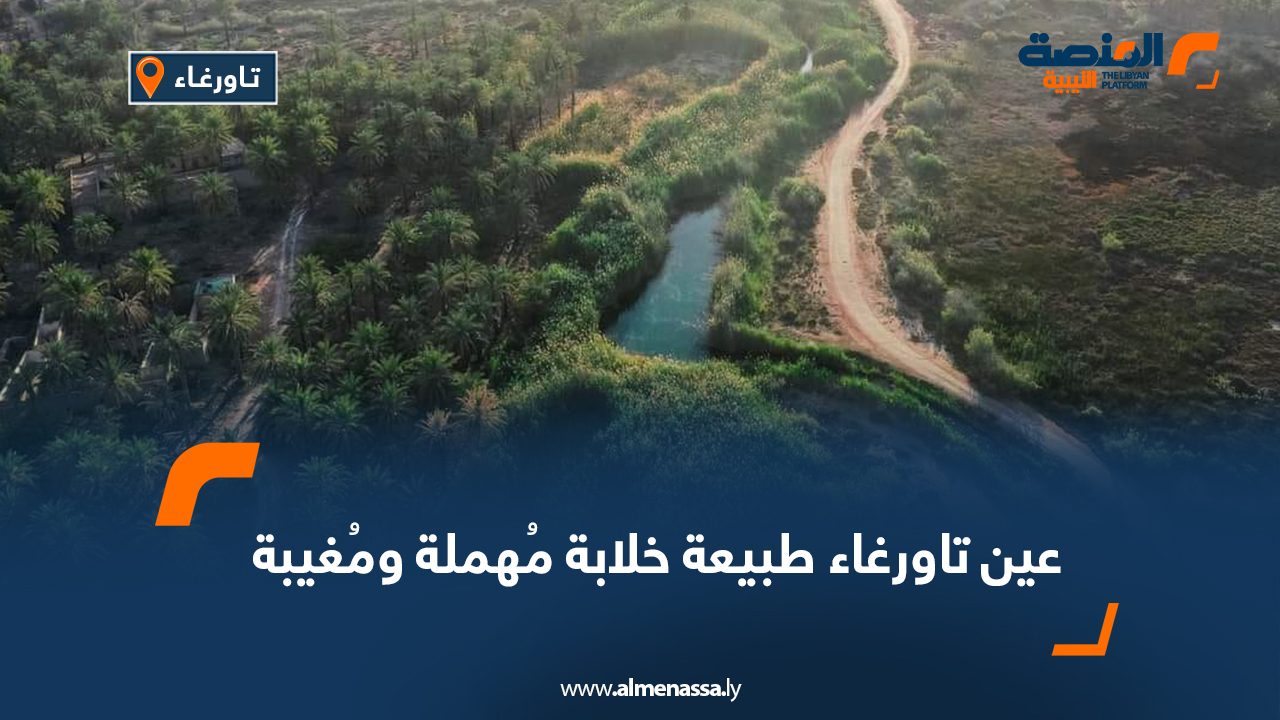 Wide-Web-195 Wide-Web-195