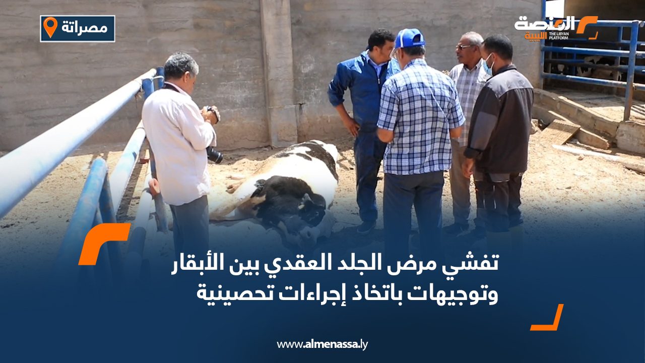 تفشي مرض الجلد العقدي بين الأبقار بمصراتة.. وتوجيهات باتخاذ إجراءات تحصينية