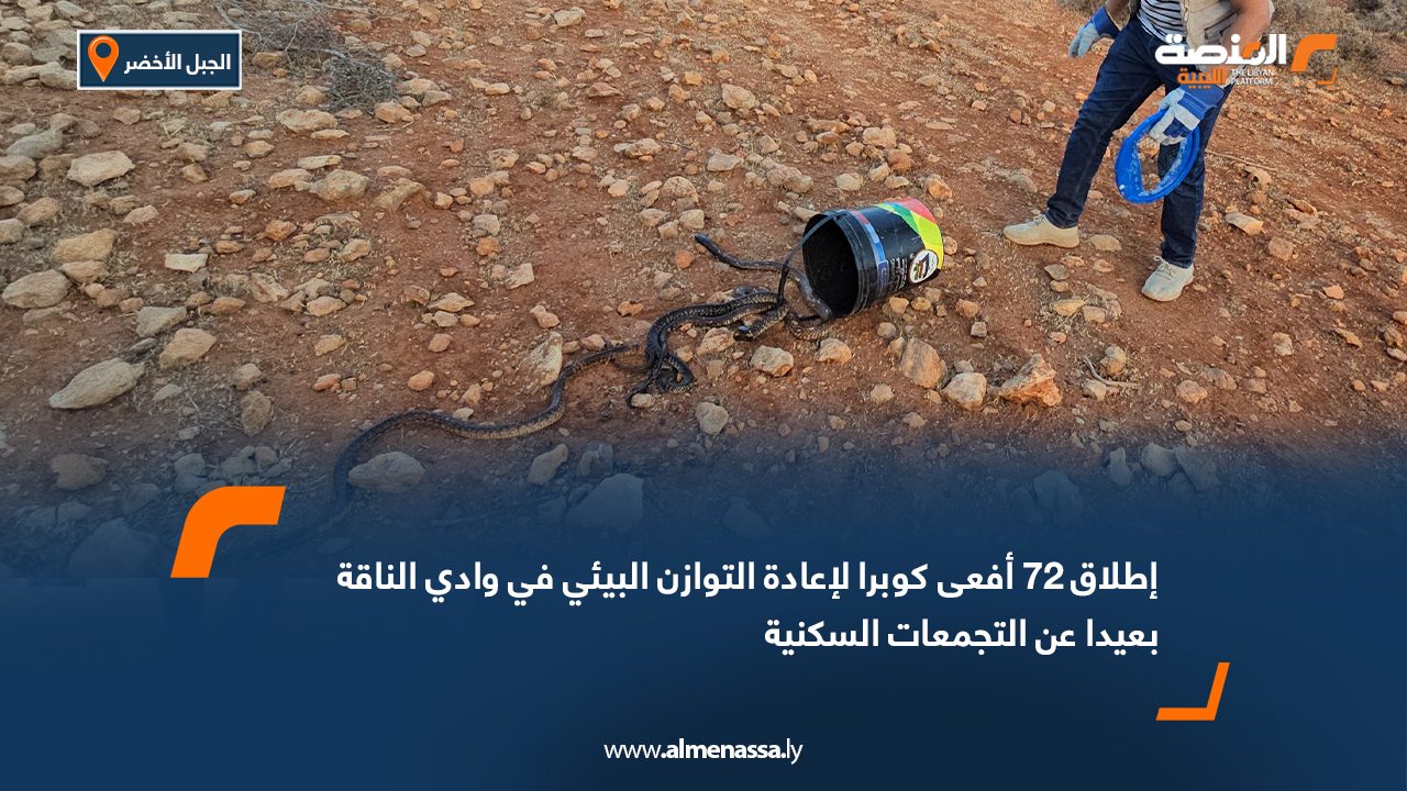 إطلاق 72 أفعى كوبرا لإعادة التوازن البيئي في وادي الناقة بعيدا عن التجمعات السكنية إطلاق 72 أفعى كوبرا لإعادة التوازن البيئي في وادي الناقة بعيدا عن التجمعات السكنية
