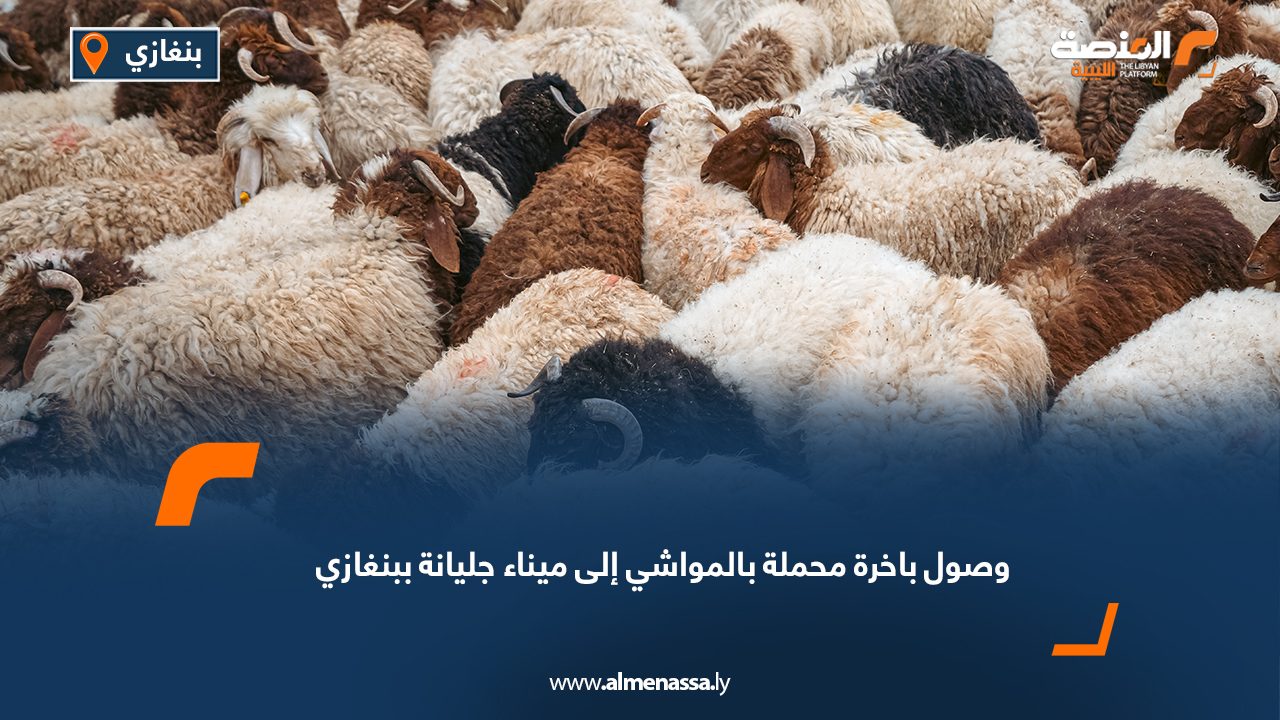 وصول باخرة محملة بالمواشي إلى ميناء جليانة ببنغازي