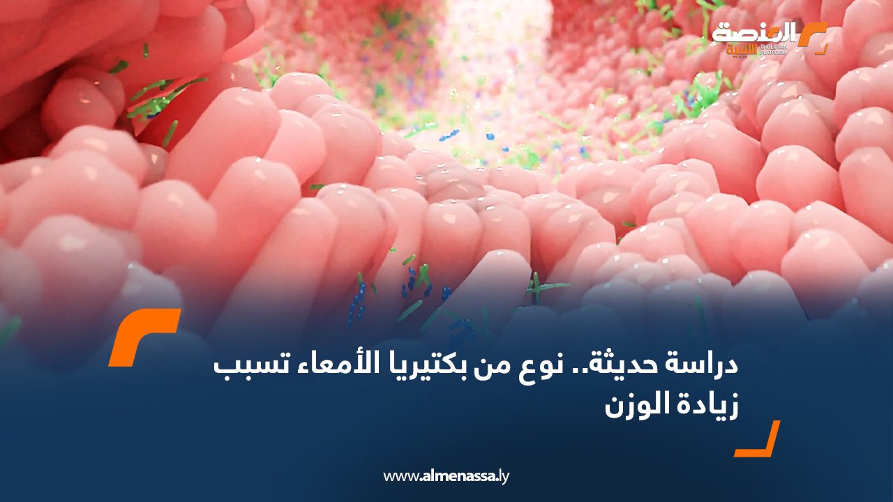 Wide-Web-244 Wide-Web-244