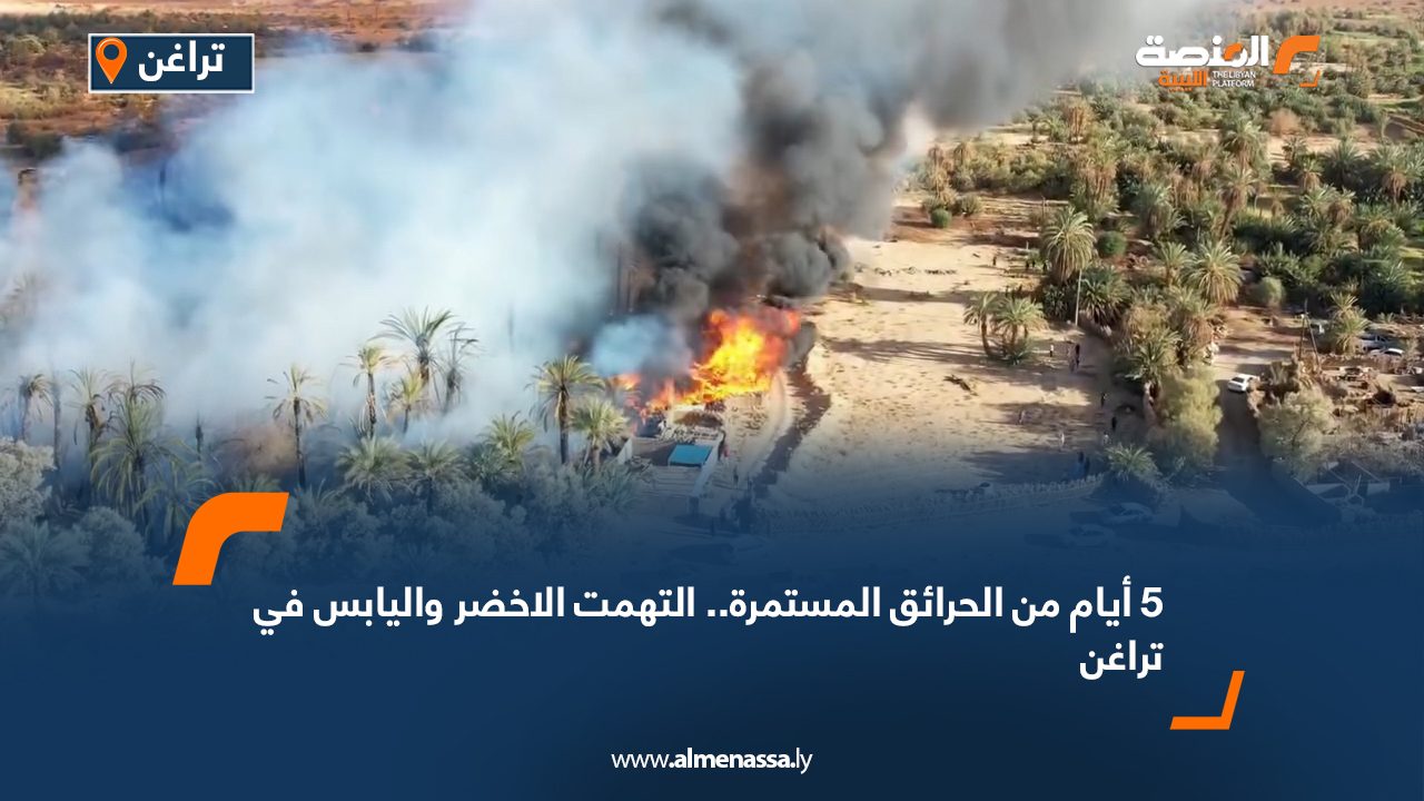 Wide-Web-247 Wide-Web-247